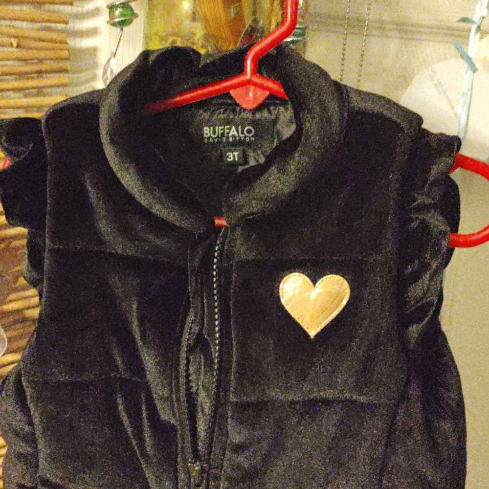 3T toddler vest Buffalo David Bitton, very warm and cute, gently used.